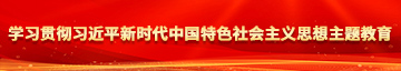 大鸡吧射了视频学习贯彻习近平新时代中国特色社会主义思想主题教育